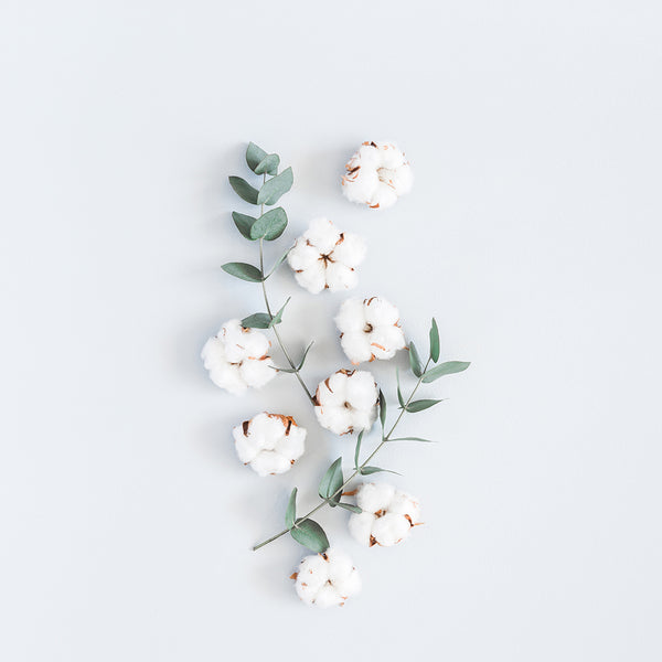 Sun Dried Cotton Fragrance Oil 471 - Zoom Media 1