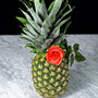 Be Delicious Blossom Fragrance Oil 334 - Zoom Thumbnail Media 1