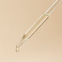 Rose Hip Seed Oil - close-up - Zoom Thumbnail Media 2