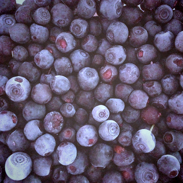 Fresh Picked Blueberry Fragrance Oil 309 - Zoom Media 1