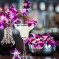 Island Margarita Fragrance Oil 694