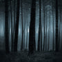 Twilight Woods for Men Fragrance Oil 693 - Zoom Thumbnail Media 1