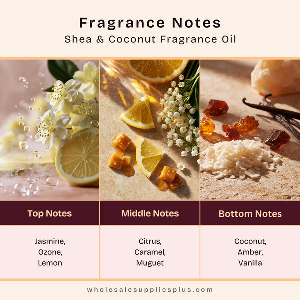 Shea & Coconut Fragrance Oil 638 - Zoom Media 2
