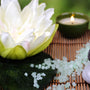 Bamboo Lotus Fragrance Oil 117 - Zoom Thumbnail Media 1