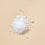 Dead Sea Salt Blend - Pure Salt