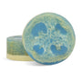 Pamper Me Pedicure (Blue) Soap Making Kit - Zoom Thumbnail Media 1