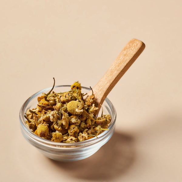 Chamomile Flowers - Botanical - close-up - Zoom Media 2