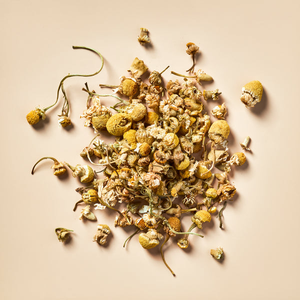 Chamomile Flowers - Botanical - Zoom Media 1