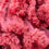 Pink Chiffon Fragrance Oil 750