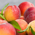 Market Peach Fragrance Oil 759