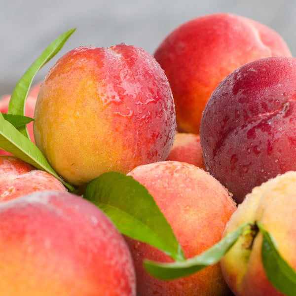 Market Peach Fragrance Oil 759 - Zoom Media 1
