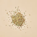 Rosemary - Botanical
