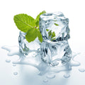 Doublemint - Sweetened Flavor Oil 813