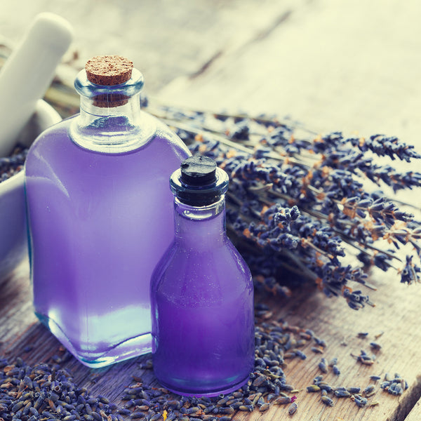 Fabuloso Lavender Fragrance Oil 386 - Zoom Media 1