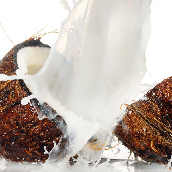 Coconut Milk Fragrance Oil 821 - Zoom Media 1