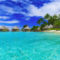 Meet Me in Tahiti* Fragrance Oil (Special Order)
