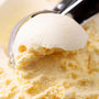 Vanilla - Sweetened Flavor Oil 806 - Zoom Thumbnail Media 1
