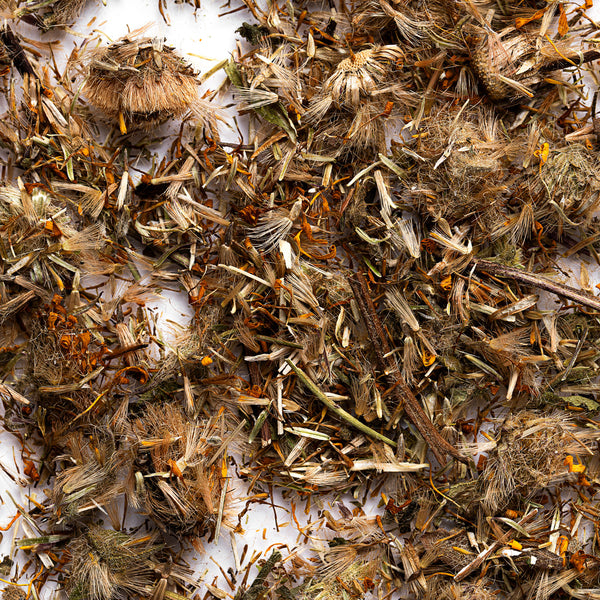 Arnica Flowers - Zoom Media 1