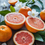 Pink Grapefruit Fragrance Oil 97