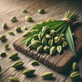 Cardamom Woods & Vetiver Fragrance Oil 804 - Zoom Thumbnail Media 1