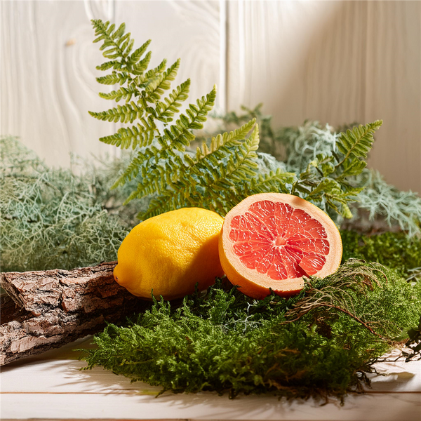Fern & Moss Fragrance Oil 646 - Zoom Media 1