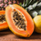 Pink Pineapple & Papaya - Natural Fragrance Oil 1020