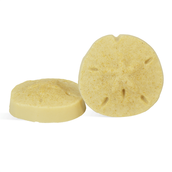 Sand Dollar MP Soap Kit - Zoom Media 1