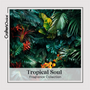 Tropical Soul Fragrance Oil Collection - Zoom Thumbnail Media 1