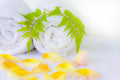 Badedas Fragrance Oil 14978