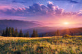 It's a Beautiful Morning Fragrance Oil 15686