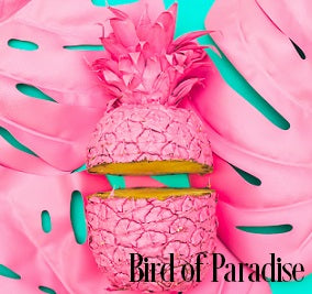 Bird of Paradise Fragrance Oil 19825 - Zoom Media 1