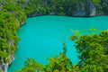 Blue Lagoon Fragrance Oil 15043