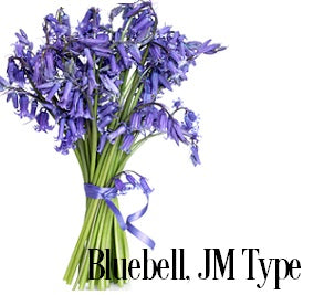 Bluebell (Wild) Fragrance Oil 19841 - Zoom Media 1