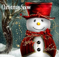 Christmas Snow Fragrance Oil 19918