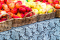 Farmer's Market Fragrance Oil 15468