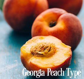 Georgia Peaches Fragrance Oil 20034 - Zoom Media 1