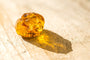 Gilded Amber Fragrance Oil 15575 - Zoom Thumbnail Media 1