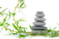 Green Tea & Willow Fragrance Oil 15623