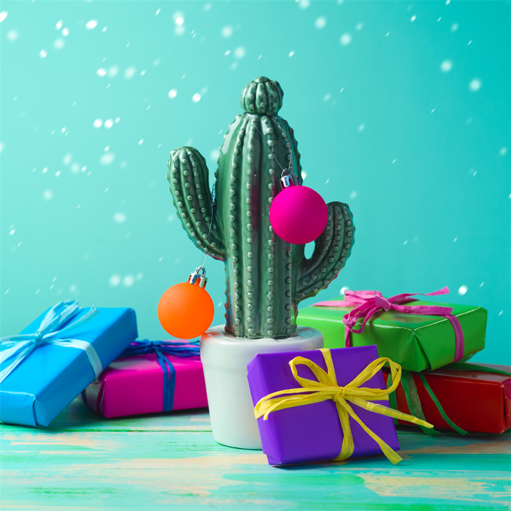 Christmas Cactus Fragrance Oil 939