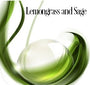 Lemongrass & Sage Fragrance Oil 20124 - Zoom Thumbnail Media 1