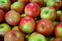 Macintosh Apple (KY) Fragrance Oil 15774 - Zoom Thumbnail Media 1