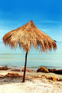 Malibu Heat Fragrance Oil 15782 - Zoom Thumbnail Media 1