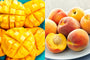 Mango Peach Fusion Flavor Oil 16476 - Zoom Thumbnail Media 1