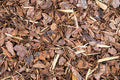 Patchouli Oud Wood Fragrance Oil 15933