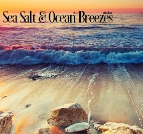Sea Salt & Ocean Breezes Fragrance Oil 20287 - Zoom Media 1