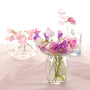 Sweet Pea Fragrance Oil 16962 - Zoom Thumbnail Media 1