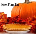 Sweet Pumpkin Fragrance Oil 20337