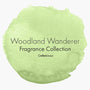 Woodland Wanderer Fragrance Oil Collection - Zoom Thumbnail Media 1
